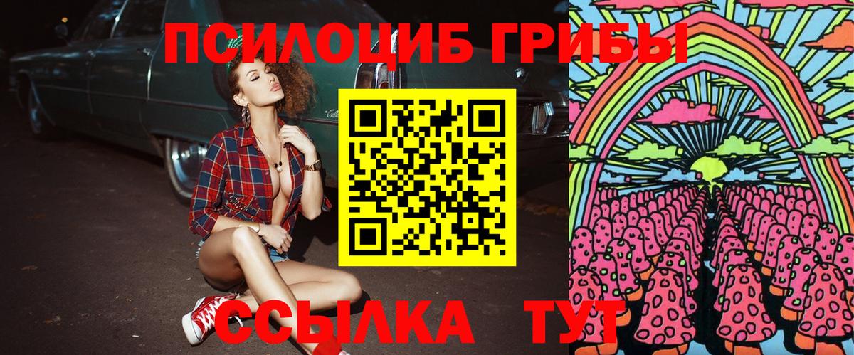 Благовещенск  Псилоцибиновые грибы Cubensis  Галлюциногенные грибы прущие грибы  Вход с VPN 