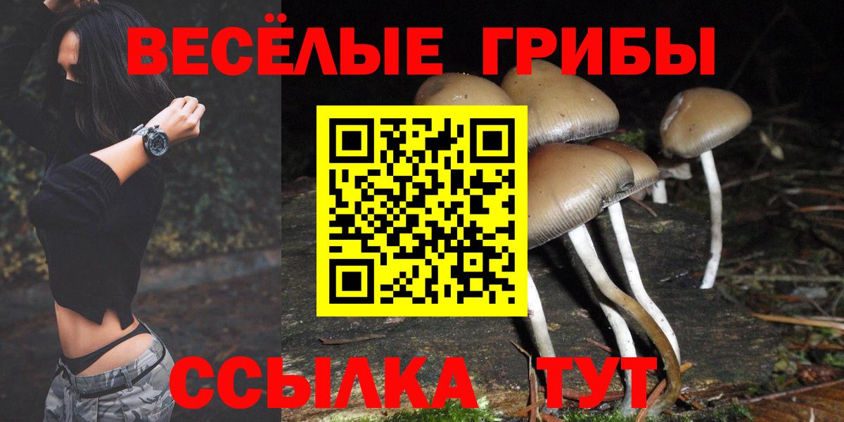 Галлюциногенные грибы GOLDEN TEACHER Благовещенск